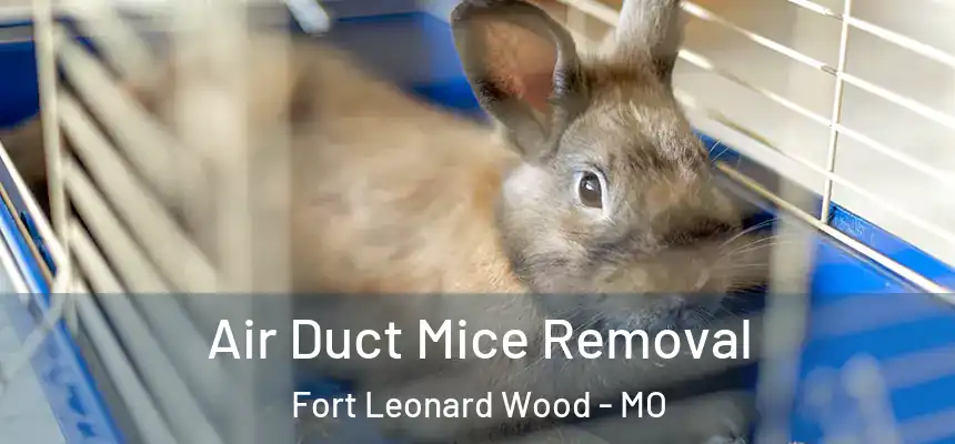  Air Duct Mice Removal Fort Leonard Wood - MO