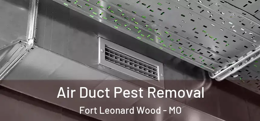  Air Duct Pest Removal Fort Leonard Wood - MO