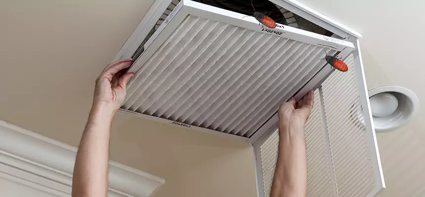 Preventive Cockroach-Proofing for Ducts in Fort Leonard Wood