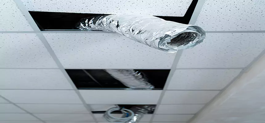 Our Air Duct Pet Hair Removal Services in Fort Leonard Wood, MO