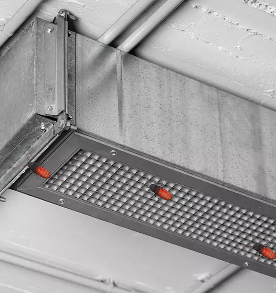 Affordable Insect Removal from Air Ducts in Fort Leonard Wood, MO